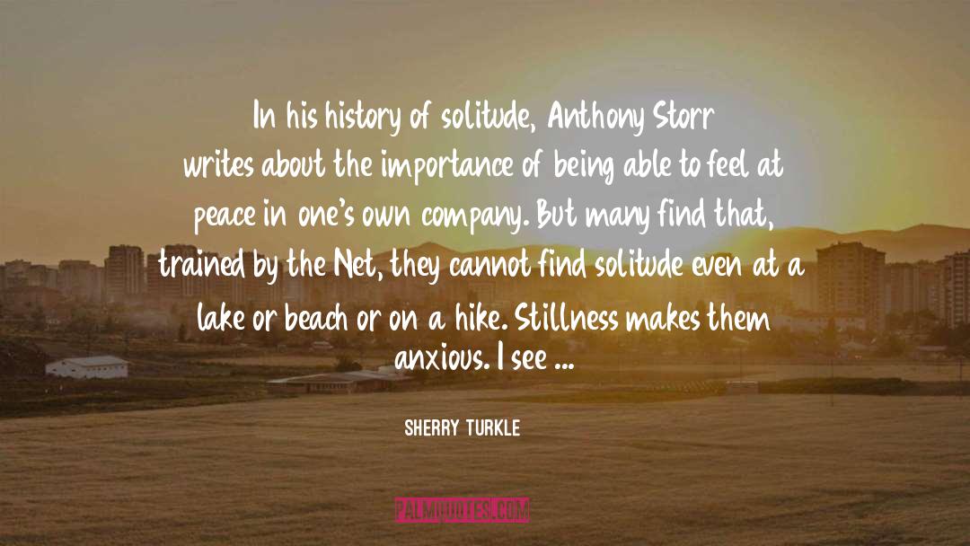 Beach Umbrella Reviews quotes by Sherry Turkle