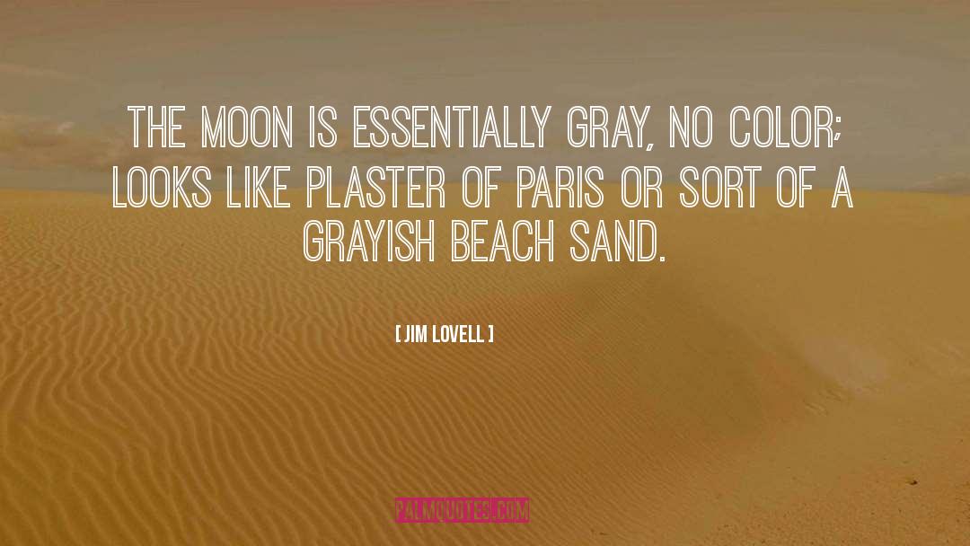 Beach Volleyball quotes by Jim Lovell