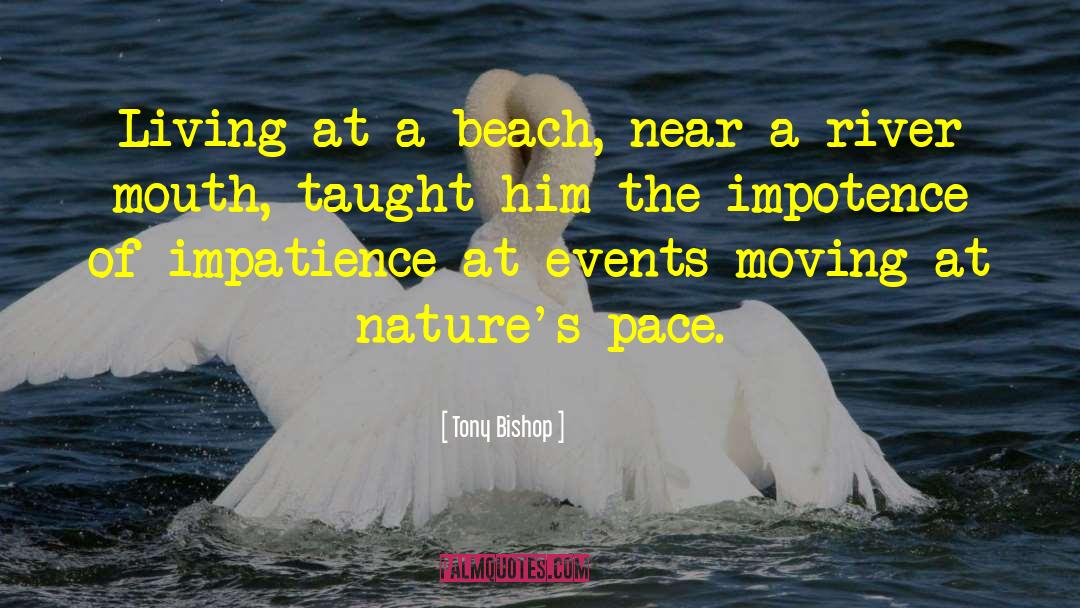 Beach Weddings quotes by Tony Bishop