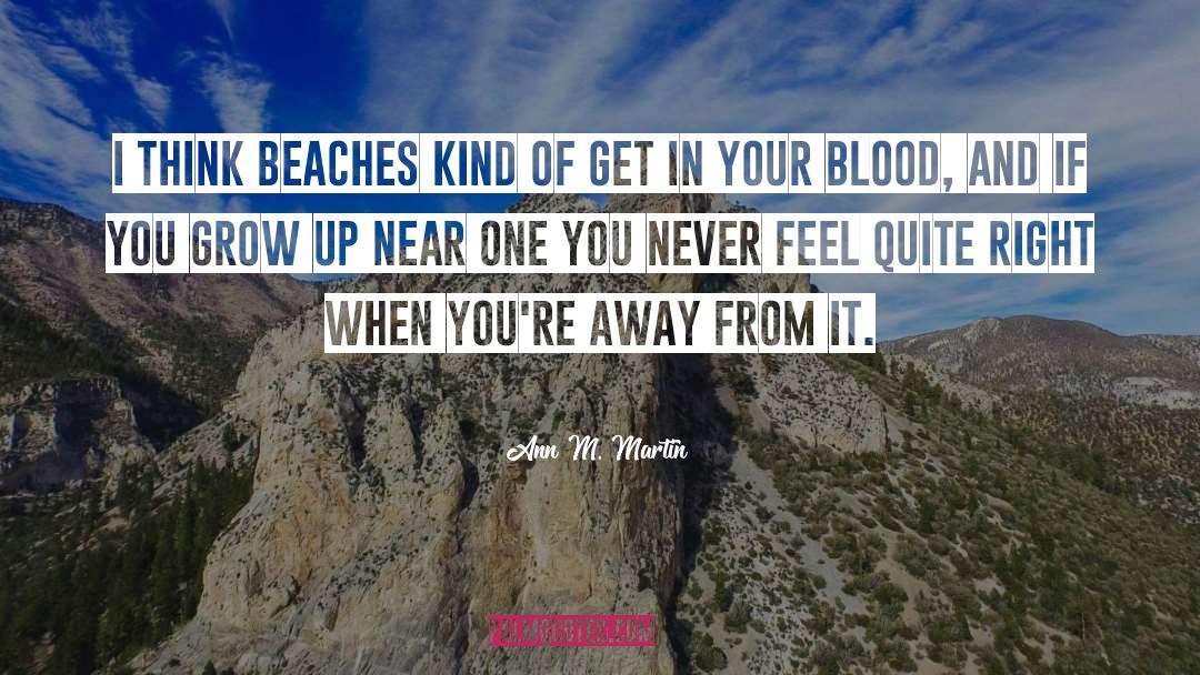 Beaches quotes by Ann M. Martin