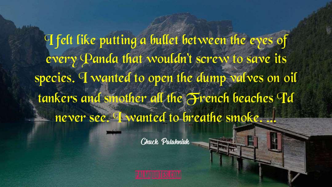 Beaches quotes by Chuck Palahniuk