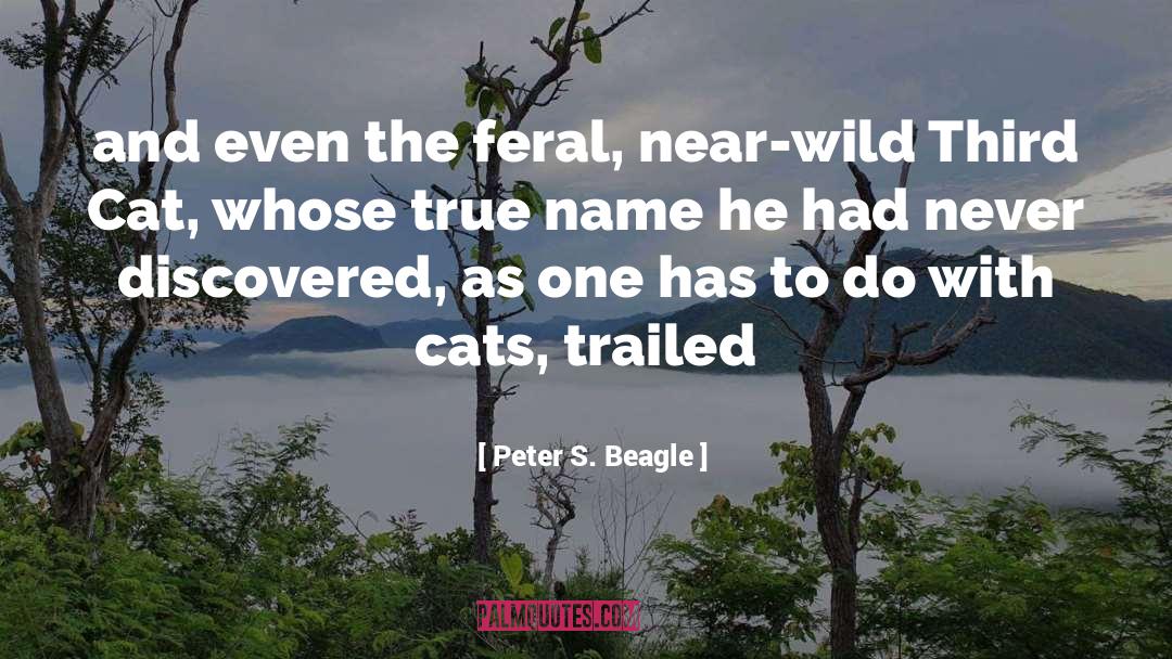 Beagle quotes by Peter S. Beagle