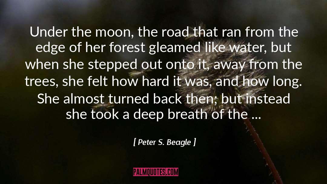 Beagle quotes by Peter S. Beagle