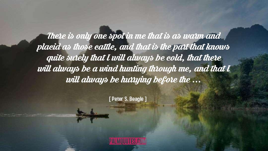 Beagle quotes by Peter S. Beagle