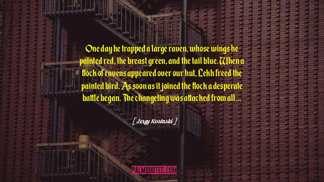 Beak quotes by Jerzy Kosinski