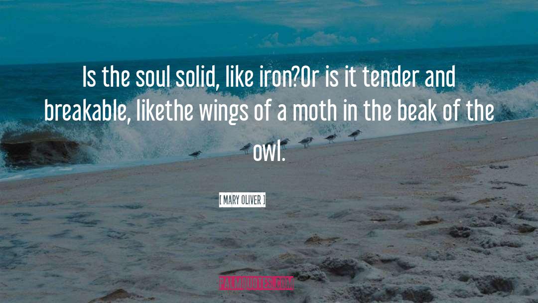 Beak quotes by Mary Oliver