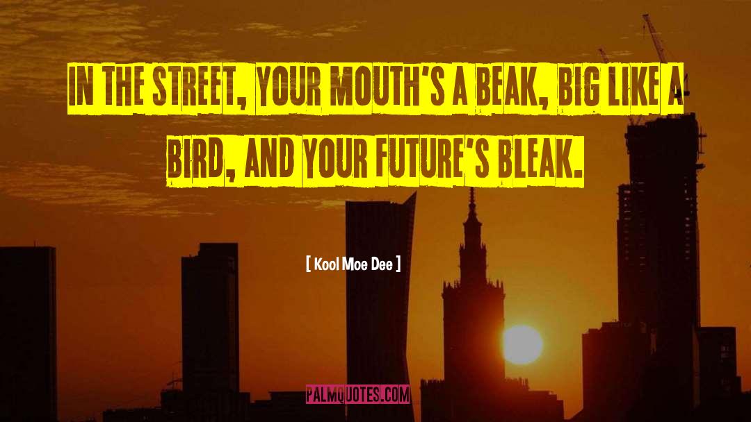 Beak quotes by Kool Moe Dee