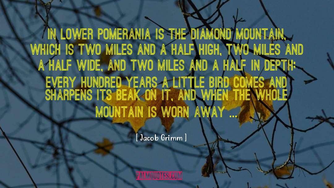 Beak quotes by Jacob Grimm