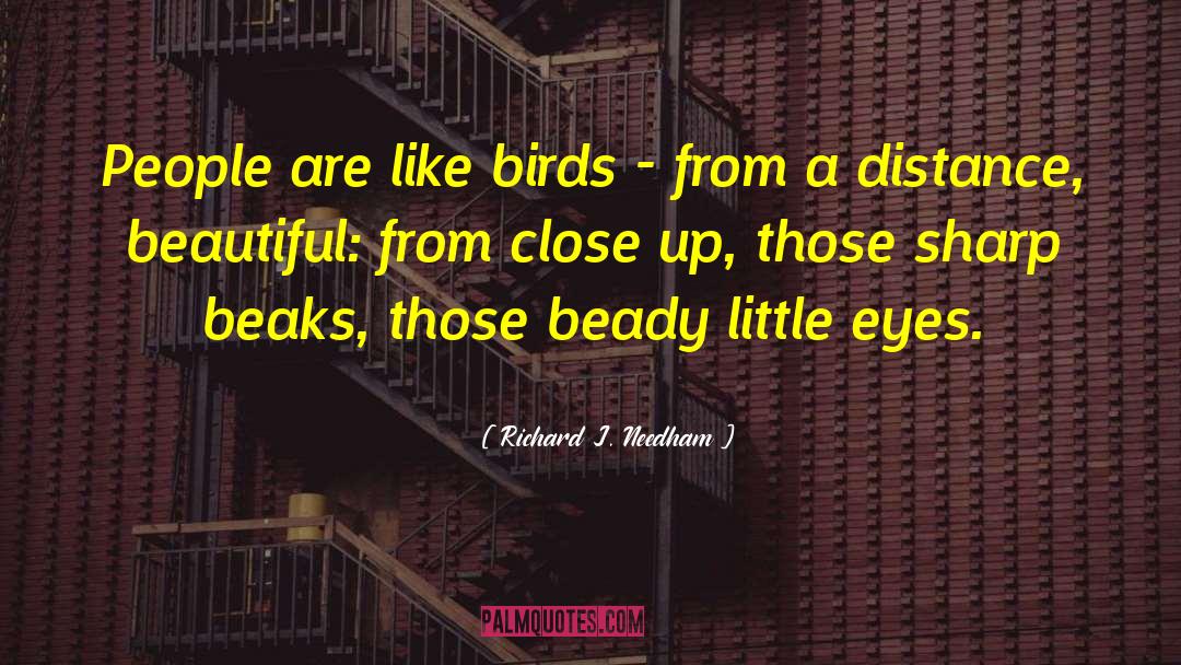 Beaks quotes by Richard J. Needham