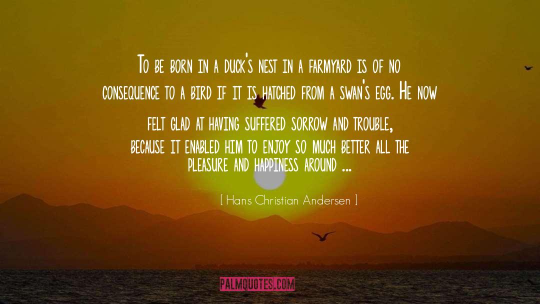 Beaks quotes by Hans Christian Andersen