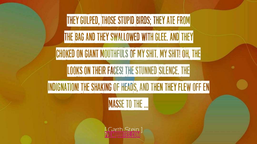 Beaks quotes by Garth Stein