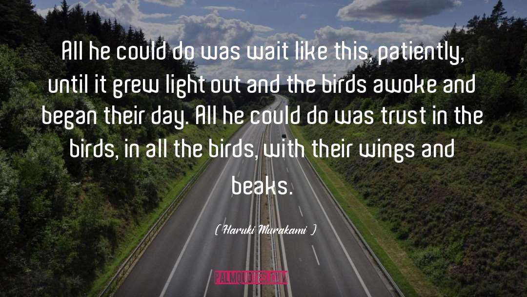 Beaks quotes by Haruki Murakami