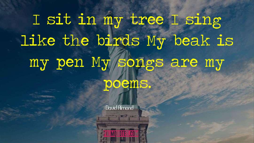 Beaks quotes by David Almond