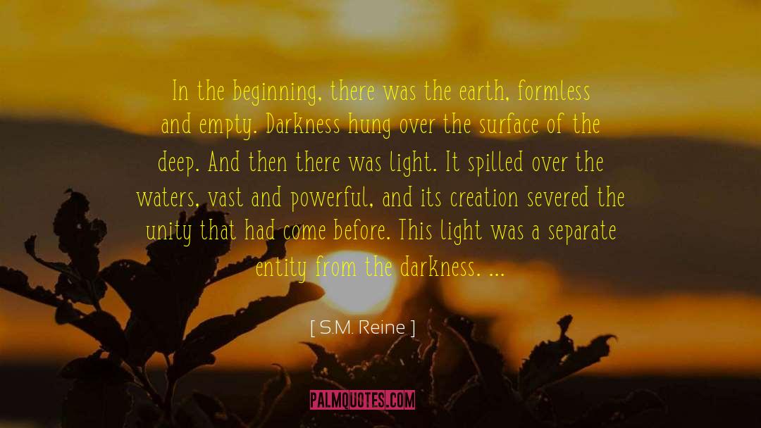 Beams Of Light quotes by S.M. Reine