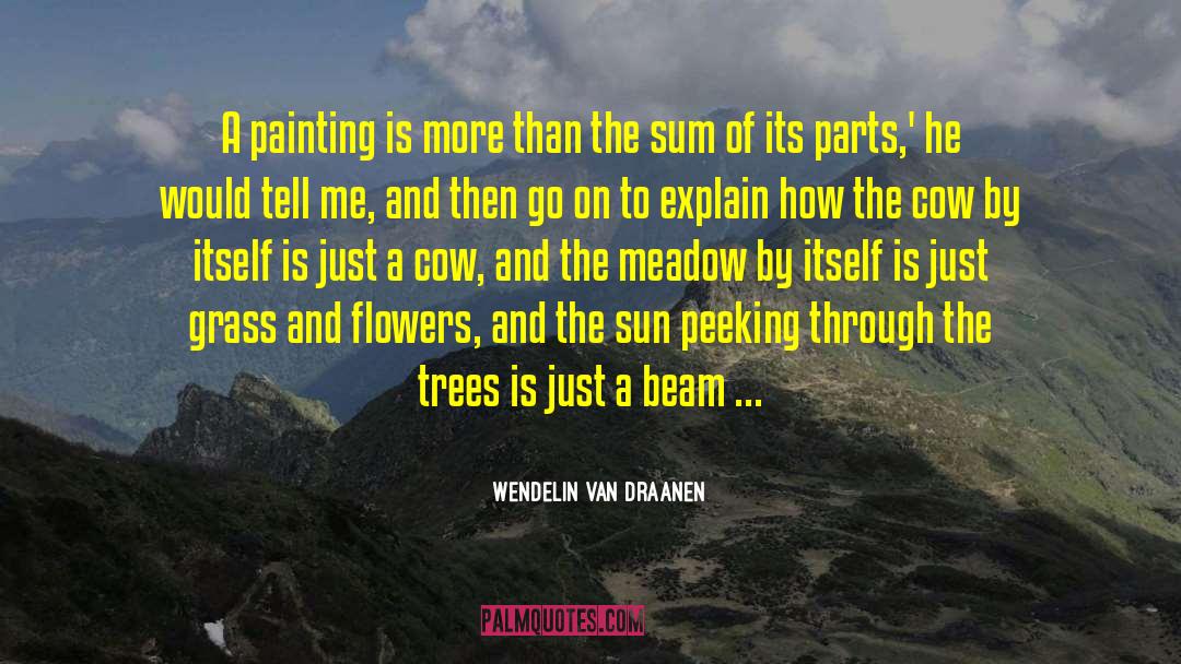 Beams Of Light quotes by Wendelin Van Draanen