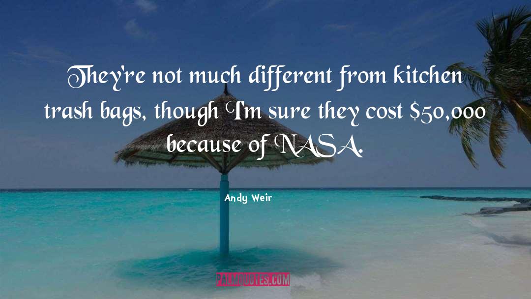 Bean Bags quotes by Andy Weir