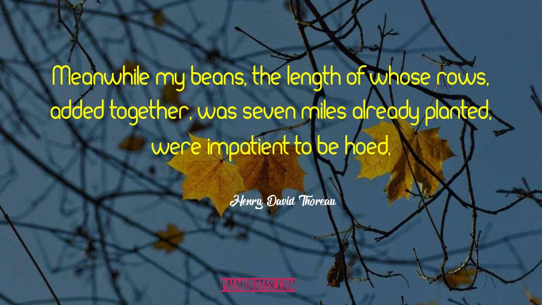 Beans quotes by Henry David Thoreau