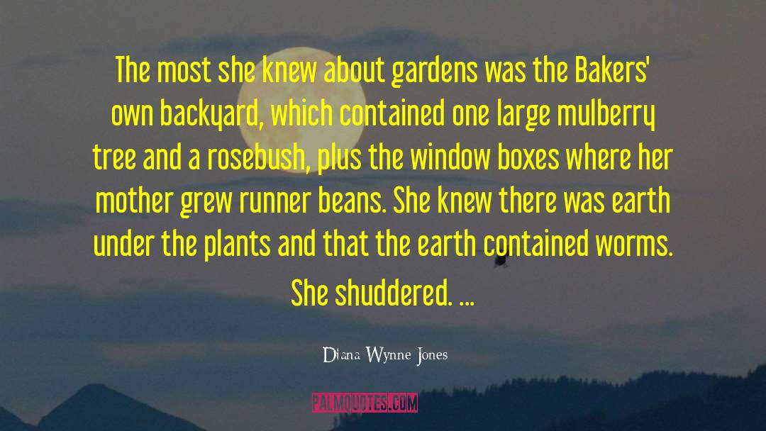 Beans quotes by Diana Wynne Jones