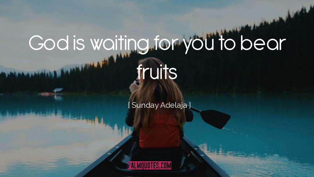 Bear Fruits quotes by Sunday Adelaja