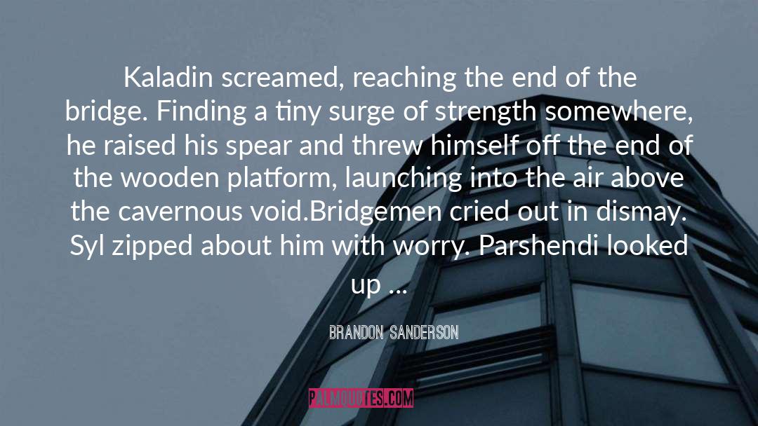 Beards quotes by Brandon Sanderson