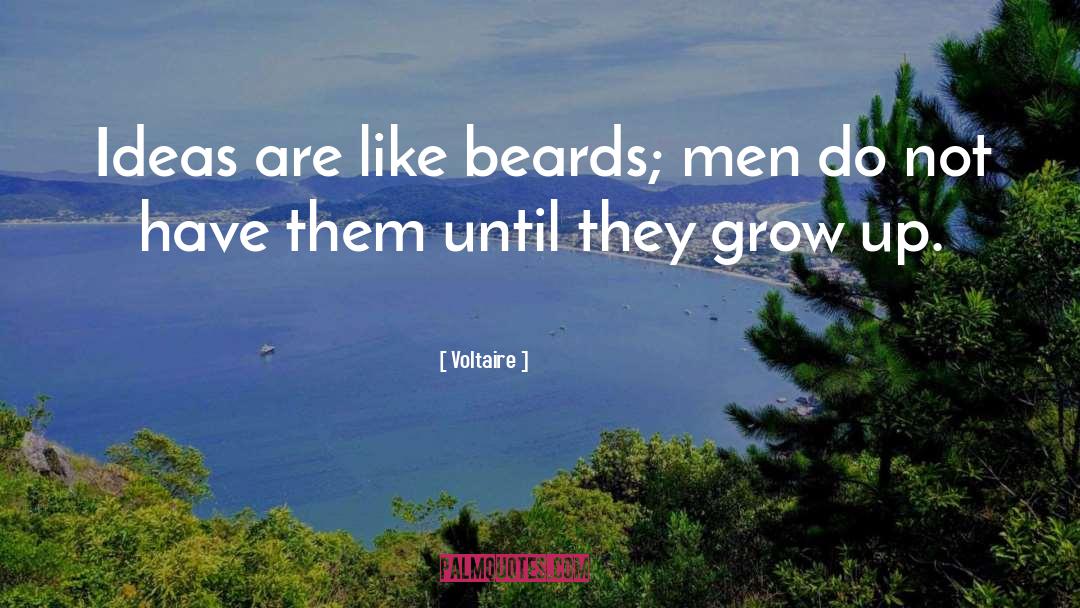 Beards quotes by Voltaire