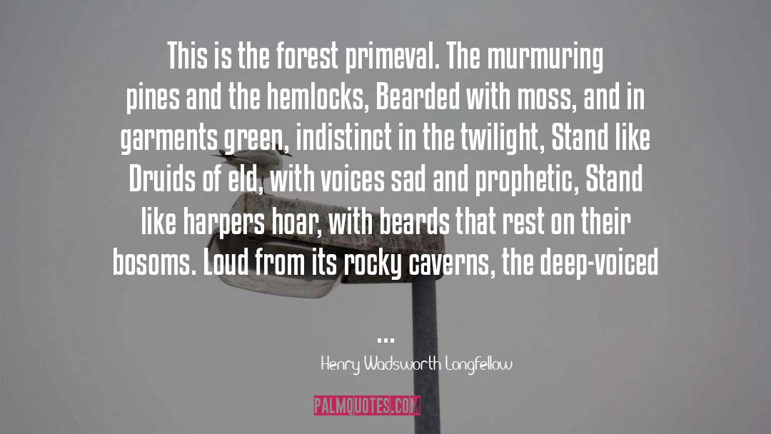 Beards quotes by Henry Wadsworth Longfellow