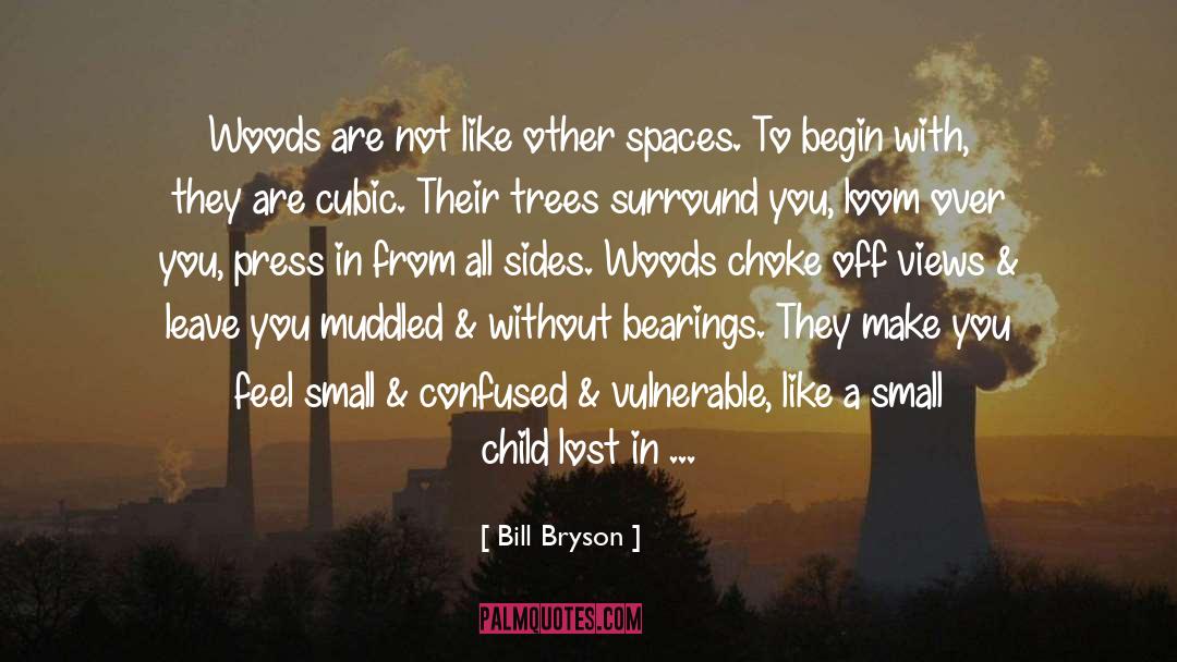 Bearings quotes by Bill Bryson