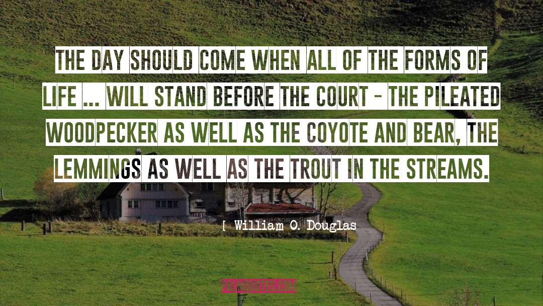 Bears quotes by William O. Douglas