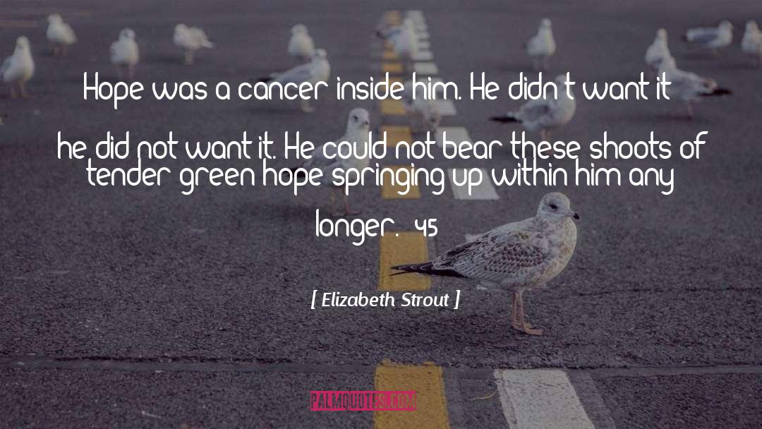 Beat Cancer quotes by Elizabeth Strout