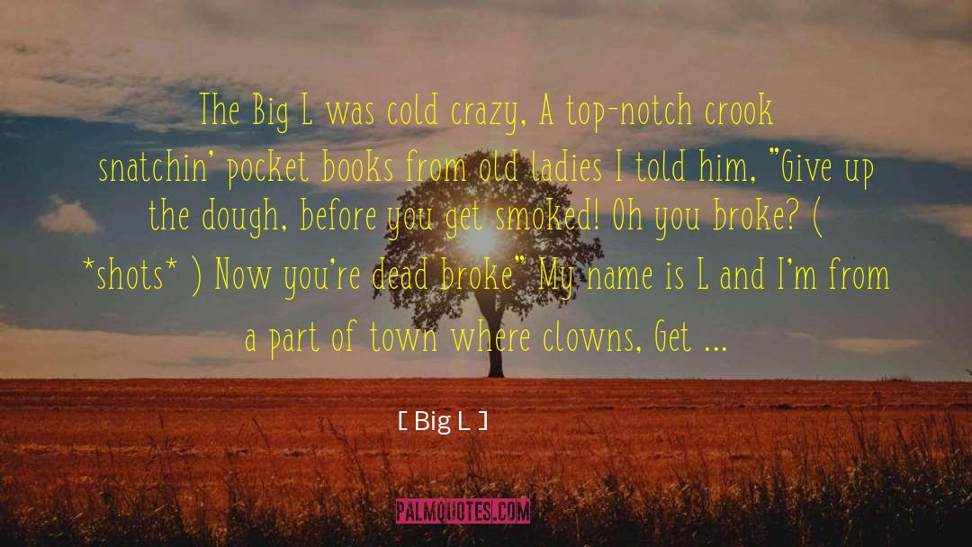 Beat Down quotes by Big L