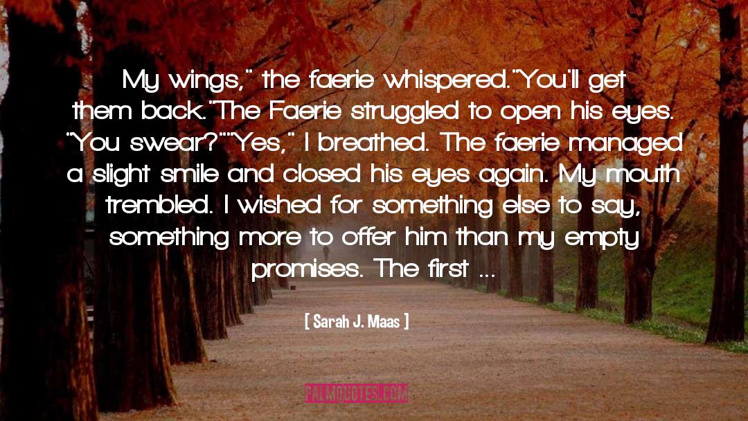 Beat Fear quotes by Sarah J. Maas
