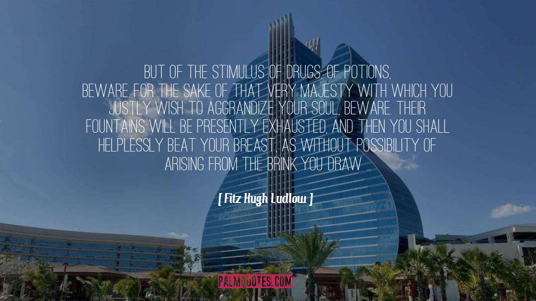 Beat Of Temptation quotes by Fitz Hugh Ludlow