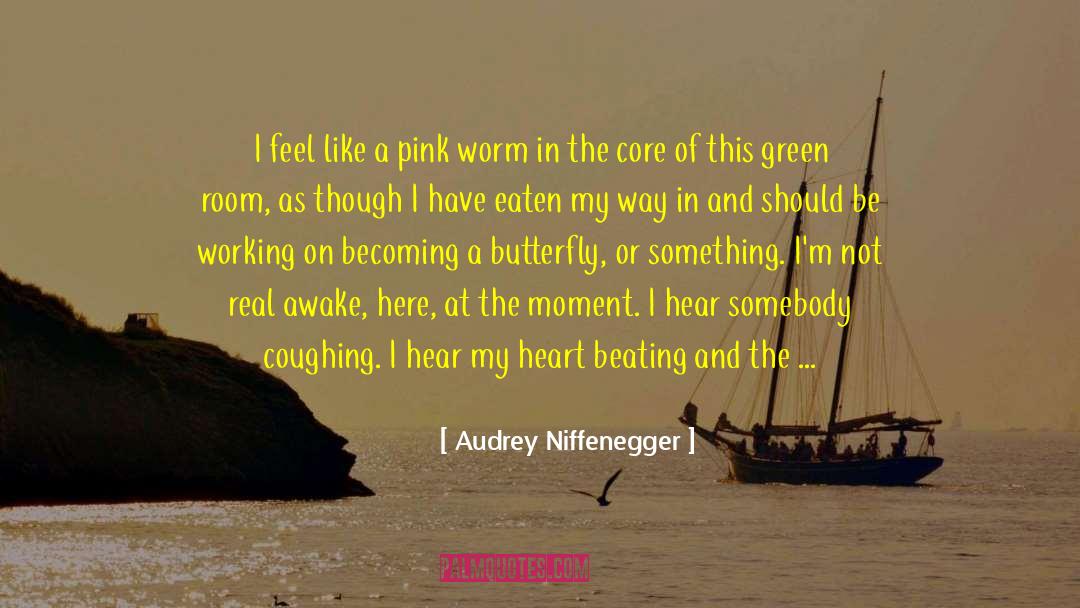 Beating Myself Up quotes by Audrey Niffenegger