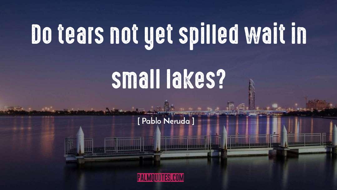 Beauclerc Lakes quotes by Pablo Neruda