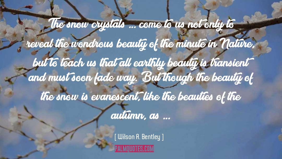 Beauties quotes by Wilson A. Bentley