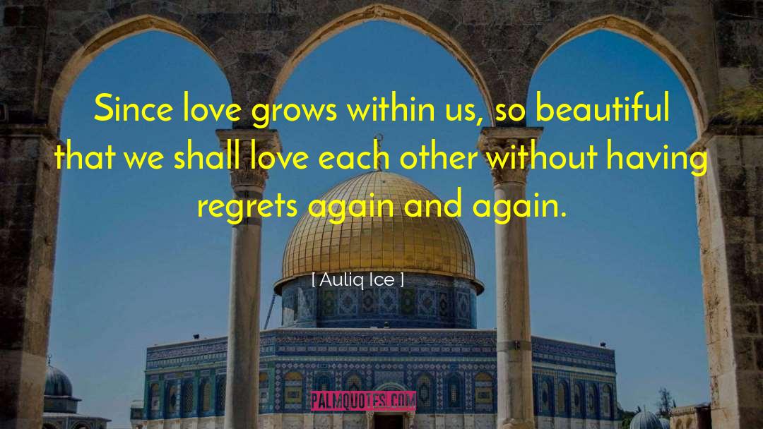 Beautiful And Kind quotes by Auliq Ice