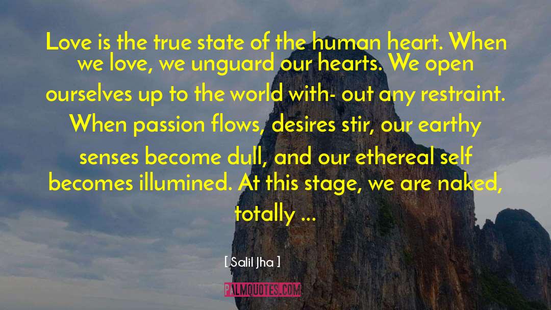 Beautiful Arrow Of Our Love quotes by Salil Jha