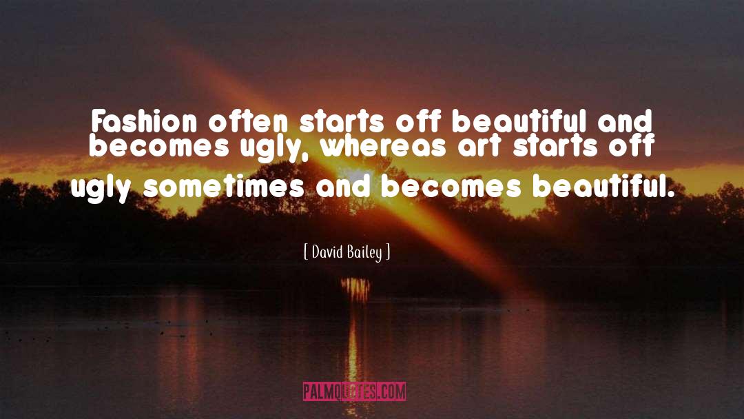 Beautiful Art quotes by David Bailey