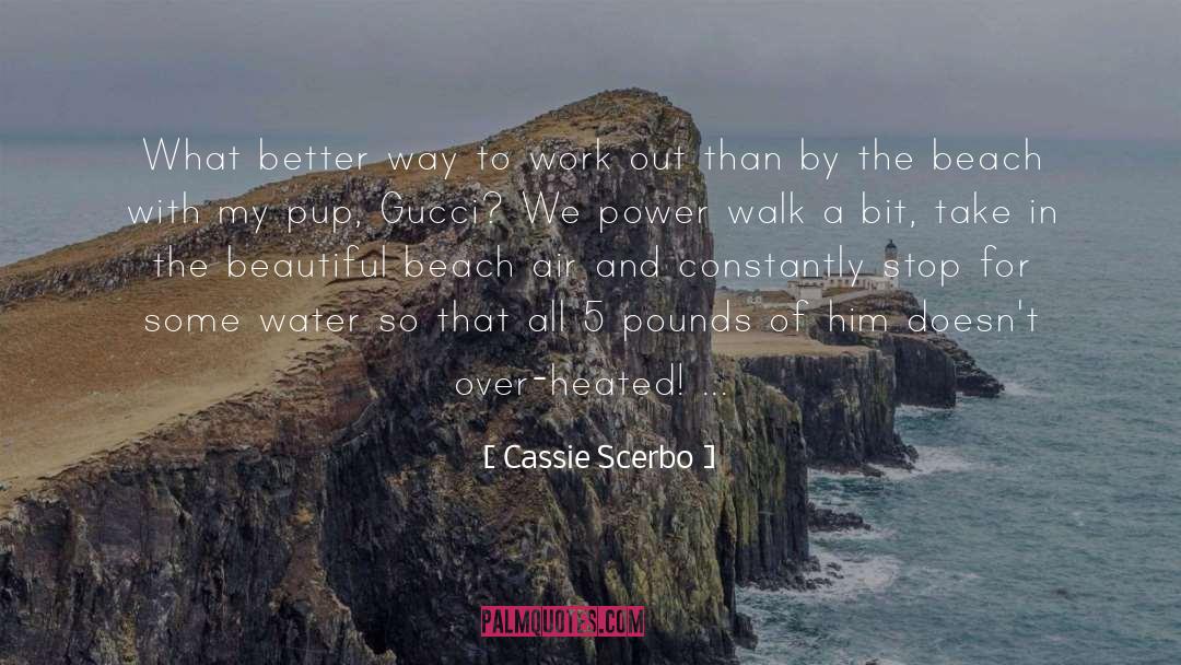 Beautiful Beach quotes by Cassie Scerbo