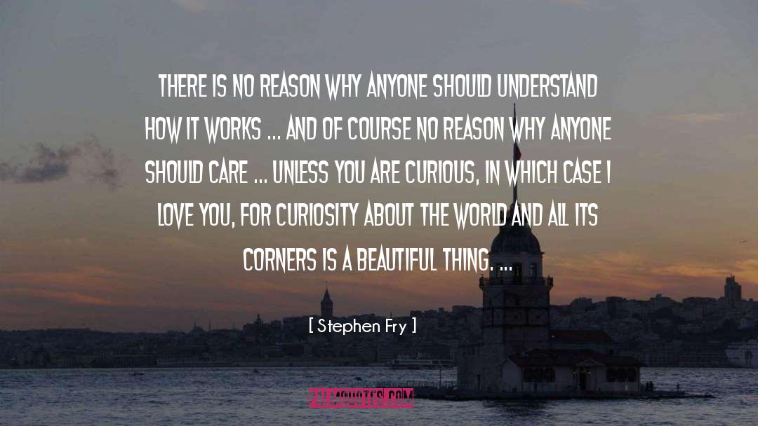 Beautiful Beach quotes by Stephen Fry