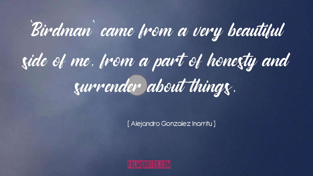 Beautiful Beginning quotes by Alejandro Gonzalez Inarritu