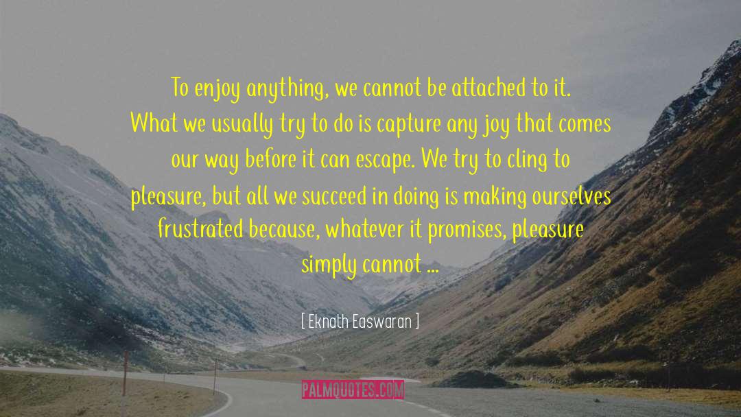 Beautiful Bombshell quotes by Eknath Easwaran