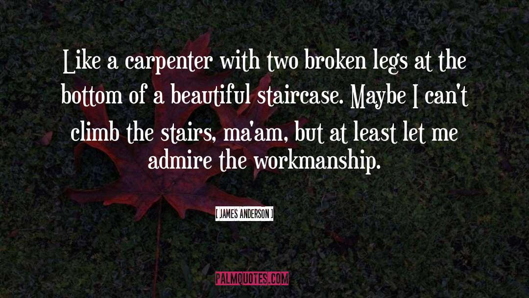 Beautiful Broken Mess quotes by James Anderson