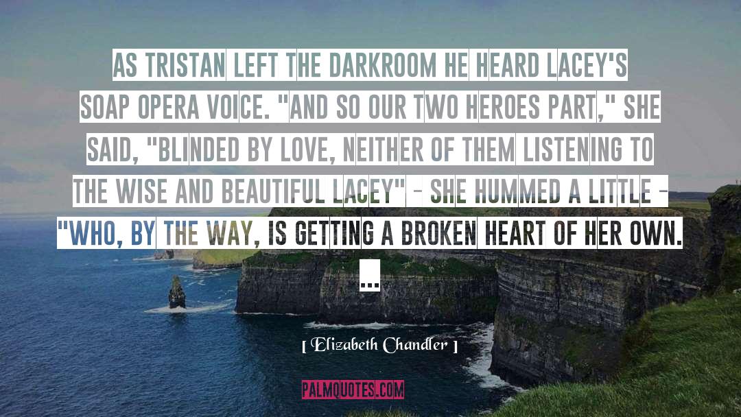 Beautiful Broken Rules quotes by Elizabeth Chandler