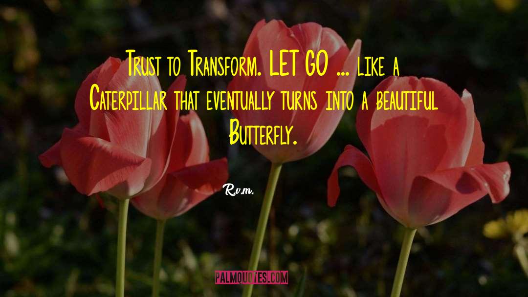 Beautiful Butterfly quotes by R.v.m.