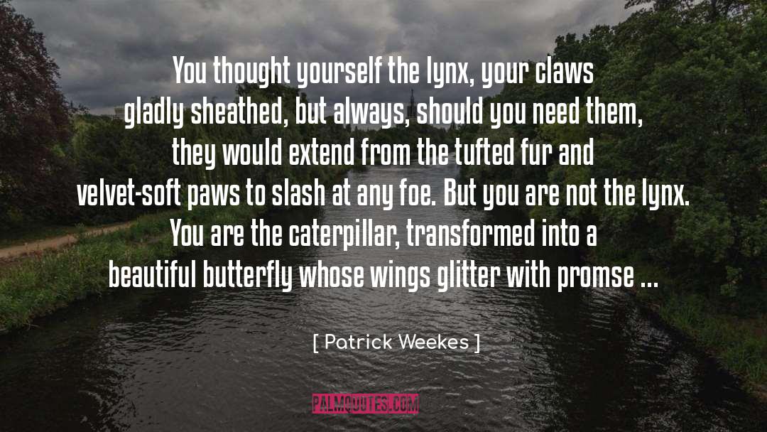 Beautiful Butterfly quotes by Patrick Weekes