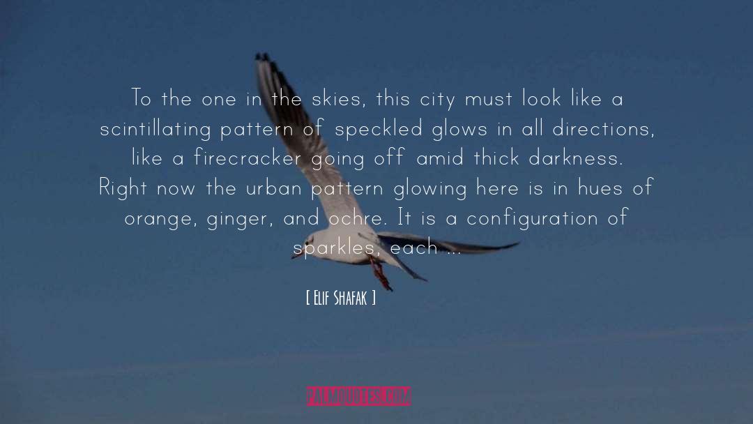 Beautiful City quotes by Elif Shafak