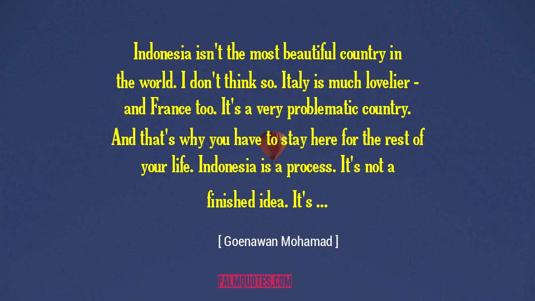 Beautiful Country quotes by Goenawan Mohamad