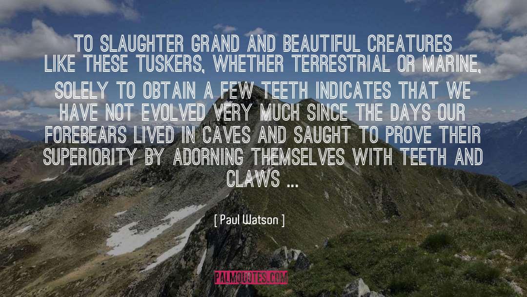 Beautiful Creatures quotes by Paul Watson
