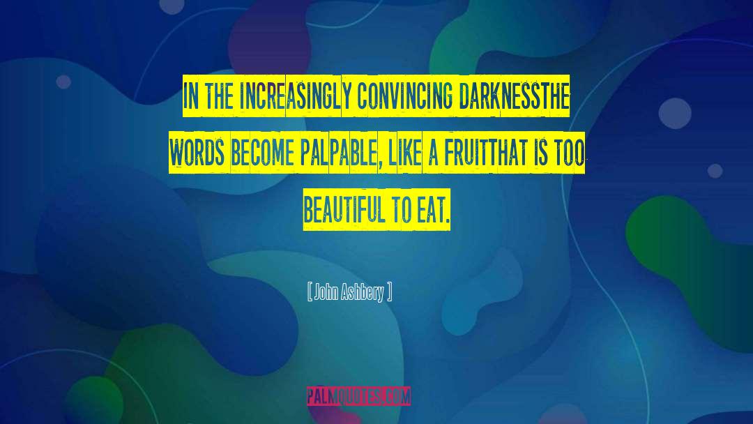 Beautiful Darkness quotes by John Ashbery